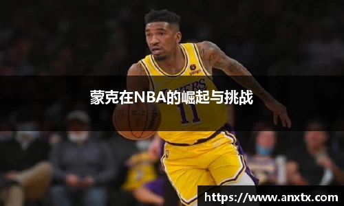 蒙克在NBA的崛起与挑战